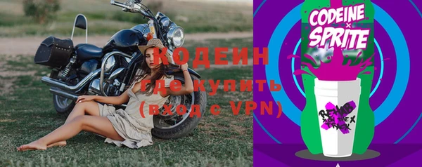 гидра Медвежьегорск