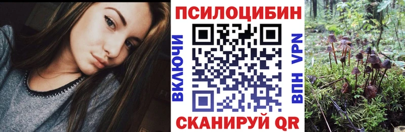 магазин    Кисловодск  Псилоцибиновые грибы мицелий 