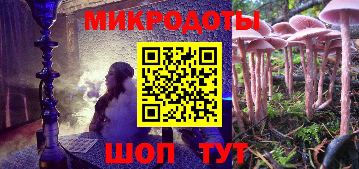 Галлюциногенные грибы GOLDEN TEACHER  Вход с VPN  Кисловодск 