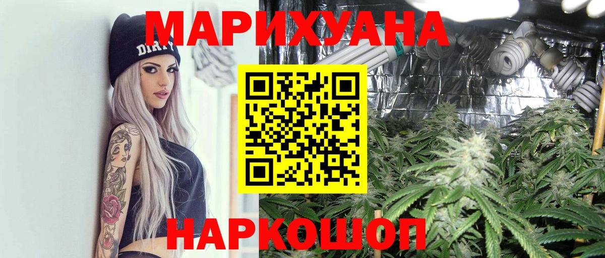 Бошки Шишки сатива Кисловодск